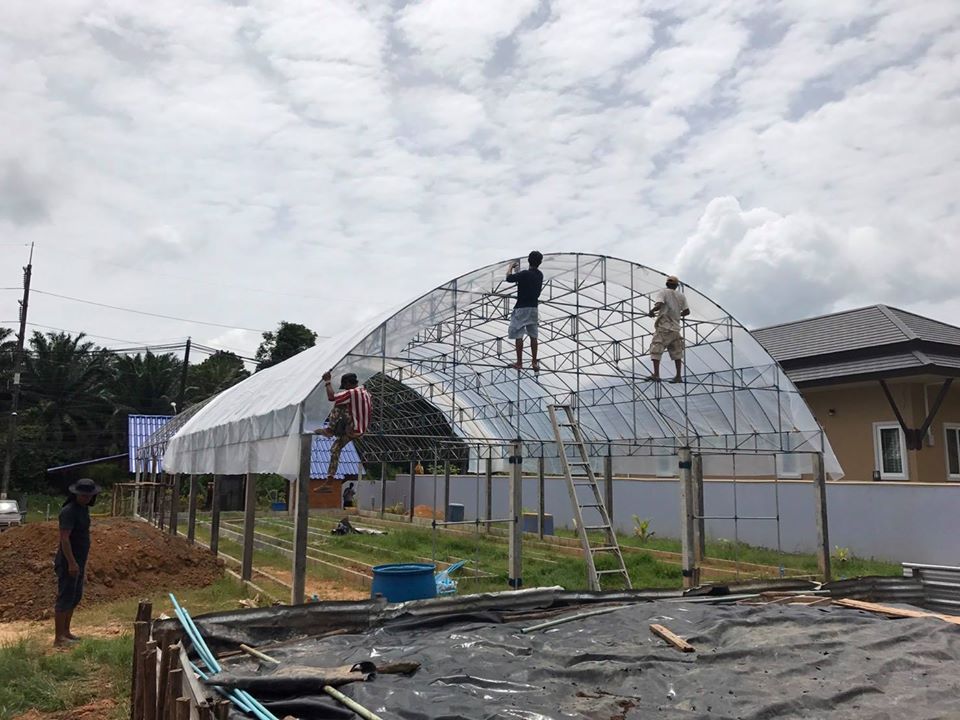 (ตัดสำเร็จพร้อมจำหน่าย) พลาสติกใส พลาสติกดำ มุ้ง สแลนด์ หน้ากว้าง 2/3/4/5/6/7 เมตร เลือกได้ตามต้องการ