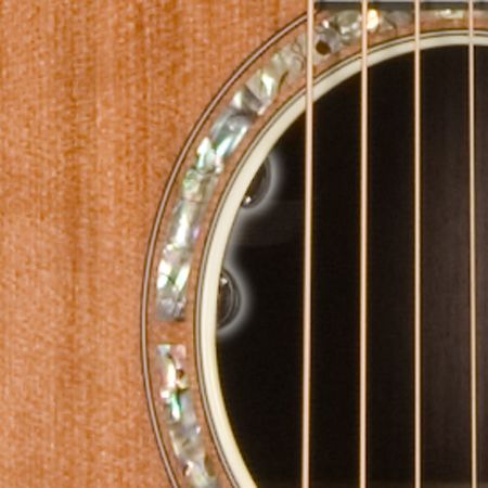 Breedlove Focus SE Special Edition Acoustic-Electric Guitar Natural