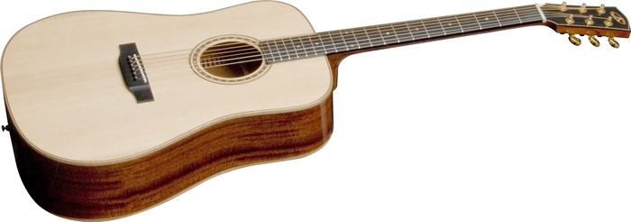 Bedell Performance TB-18-G Dreadnought Acoustic Guitar Gloss Natural