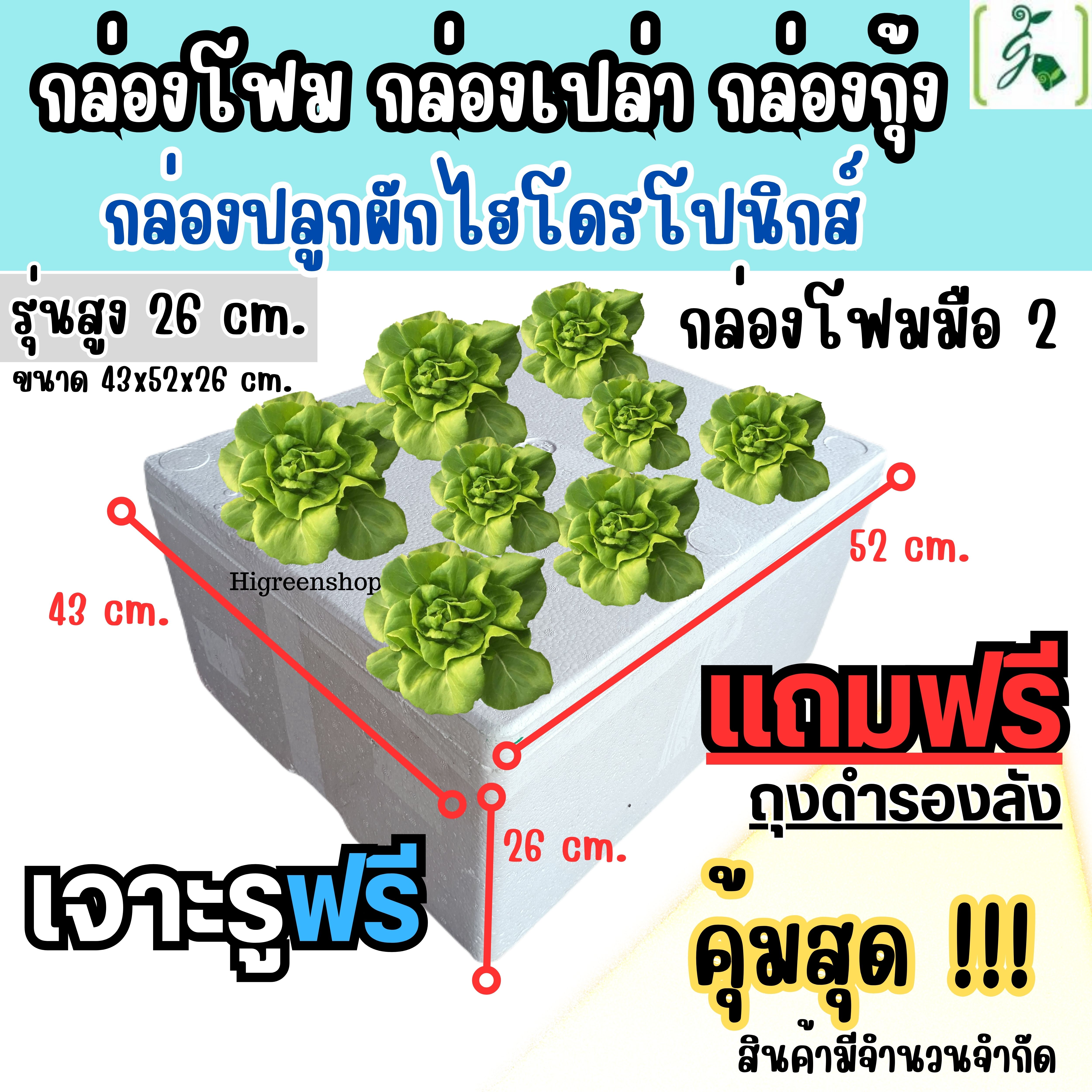 กล่องโฟมมือ 2 กล่องเปล่า กล่องกุ้ง (ตัวสูง 26 cm.) กล่องปลูกผักไฮโดรโปนิกส์ เจาะรูฟรี + แถมถุงรองลัง เจาะรูสลัด 5 / 6 / 8 ต้น หรือผักไทย 14 ต้น เลือกได้ (กล่องมือ 2) จำนวน 1 ลัง