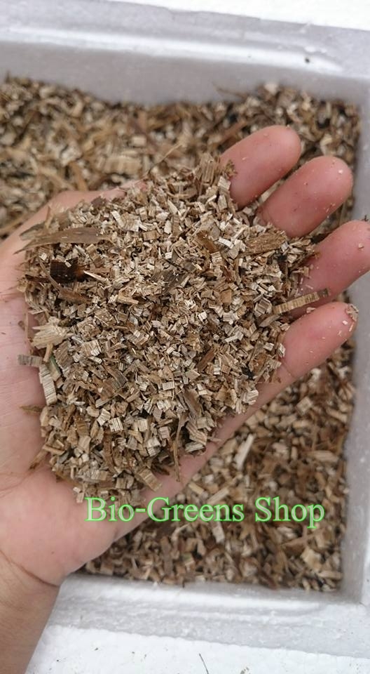 เครื่องบดย่อยสับกิ่งไม้ ใบไม้ รุ่น 300SE