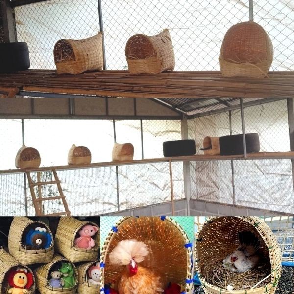 ตะกร้าสาน รังไก่ รังนก ที่นอนแมว จำนวน 1 ใบ