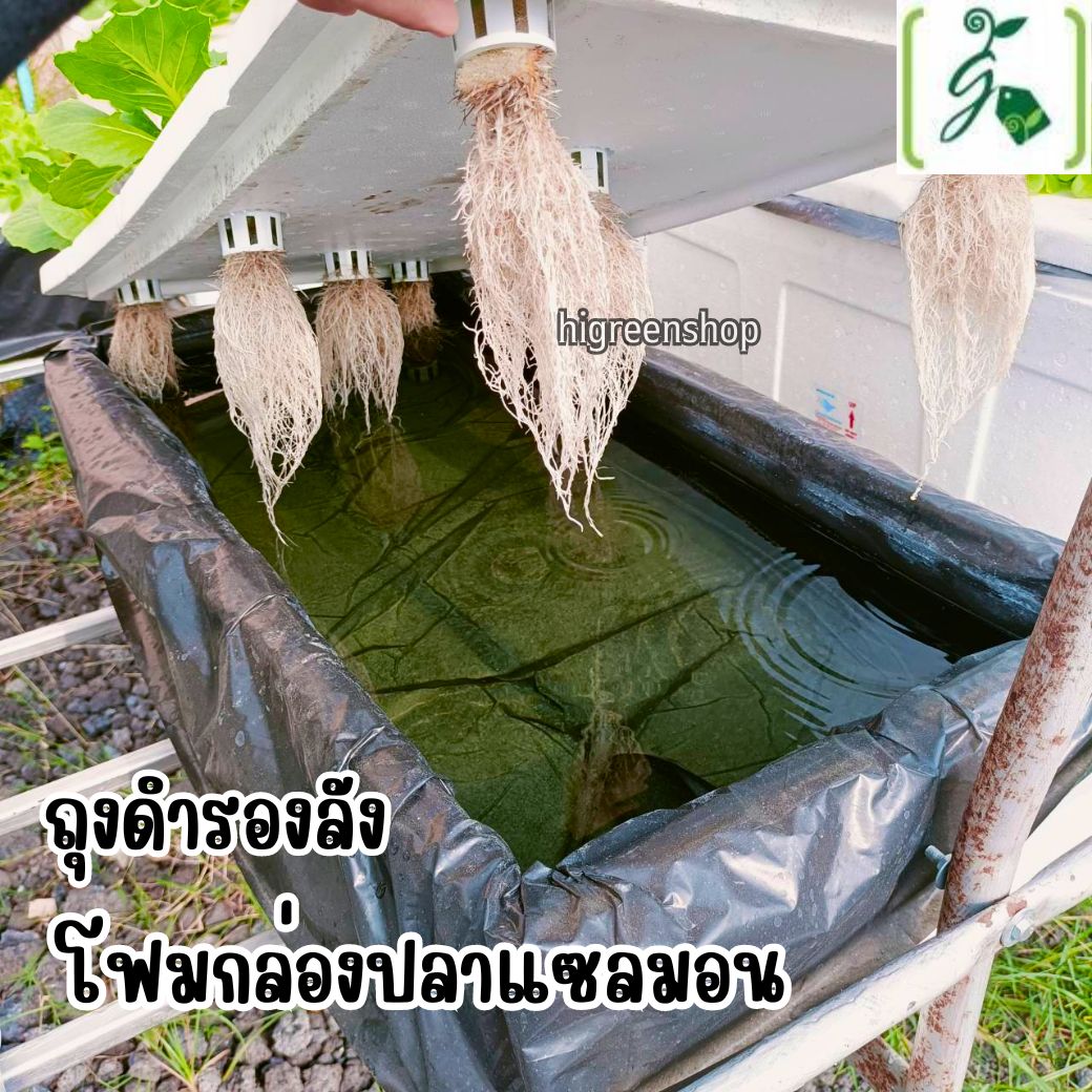 ถุงดำรองลังกล่องโฟม ถุงดำรองลังปลา ขนาด 35 x 5 x 20 นิ้ว หนา 0.10 ไมครอน