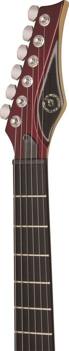 Moog The Moog Guitar E1 with Tremolo Electric Guitar