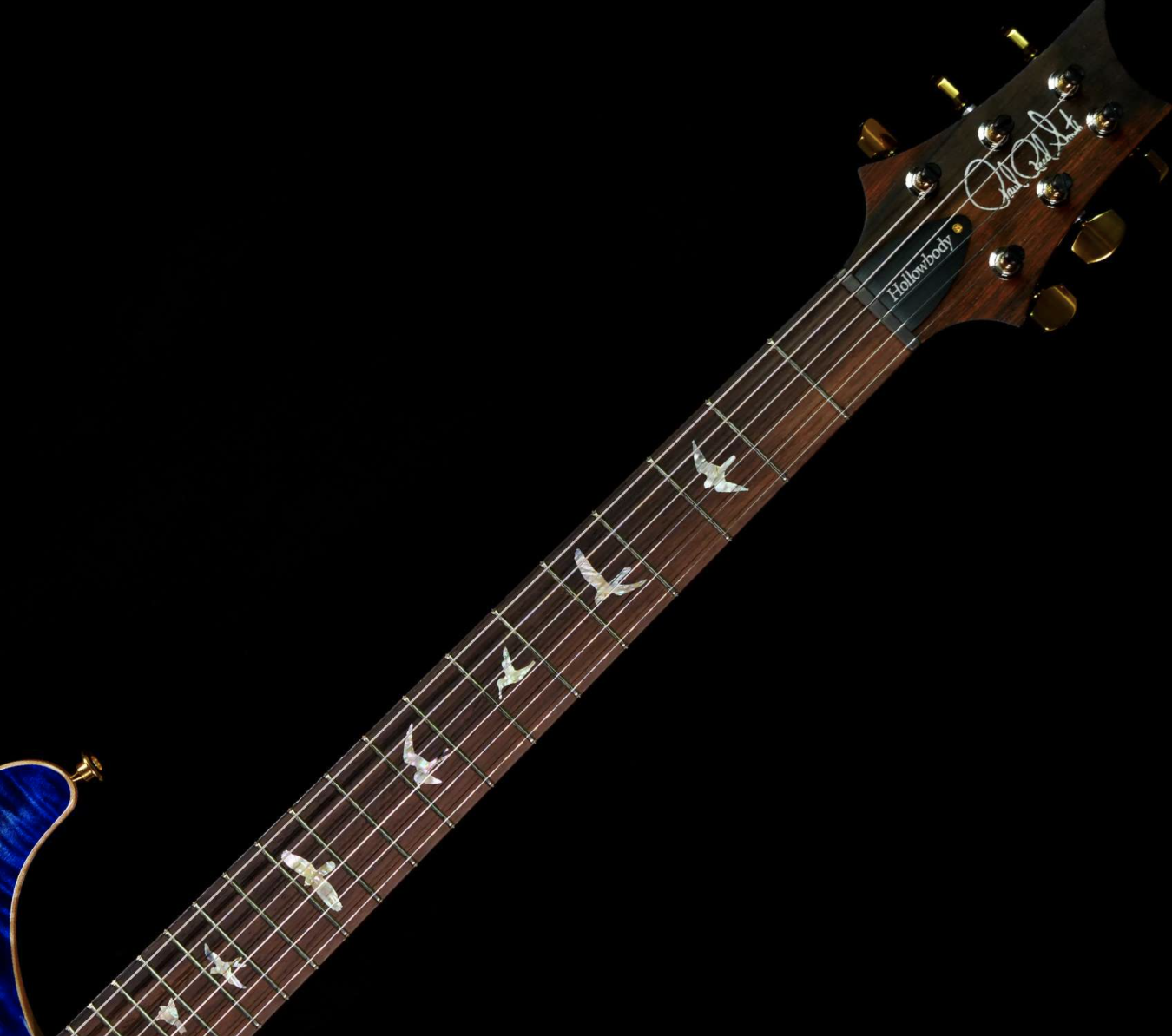 PRS WOOD LIBRARY 10 TOP HOLLOWBODY I PIEZO FLAME NECK BRAZILIAN ROSEWOOD BOARD VIOLET BLUE BURST