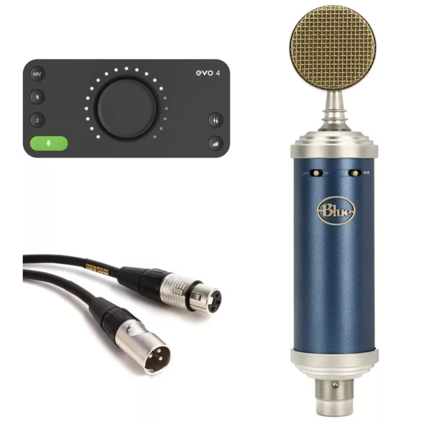 Blue Microphones Bluebird SL and EVO 4 Recording Package