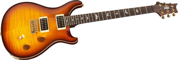 Paul Reed Smith Experience 2010 Custom 24 Wide-Thin Neck with Birds Electric Guitar