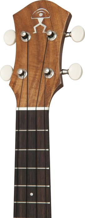aNueNue Oahu Koa II Concert Ukulele