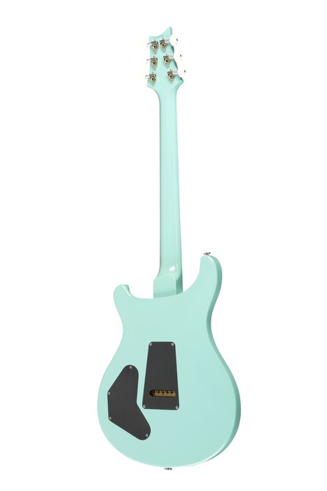 PRS DGT Standard with Birds Electric Guitar