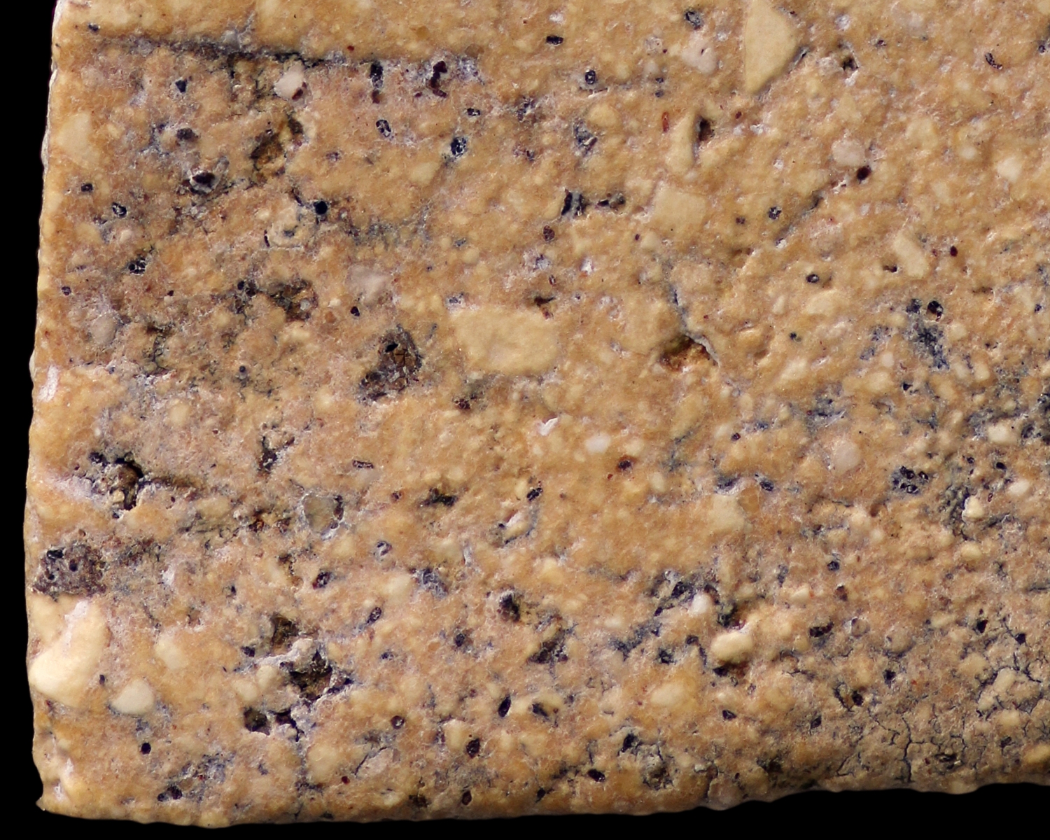 พระสมเด็จวัดระฆังโฆสิตาราม พิมพ์ใหญ่ ลงรักมาก่อน