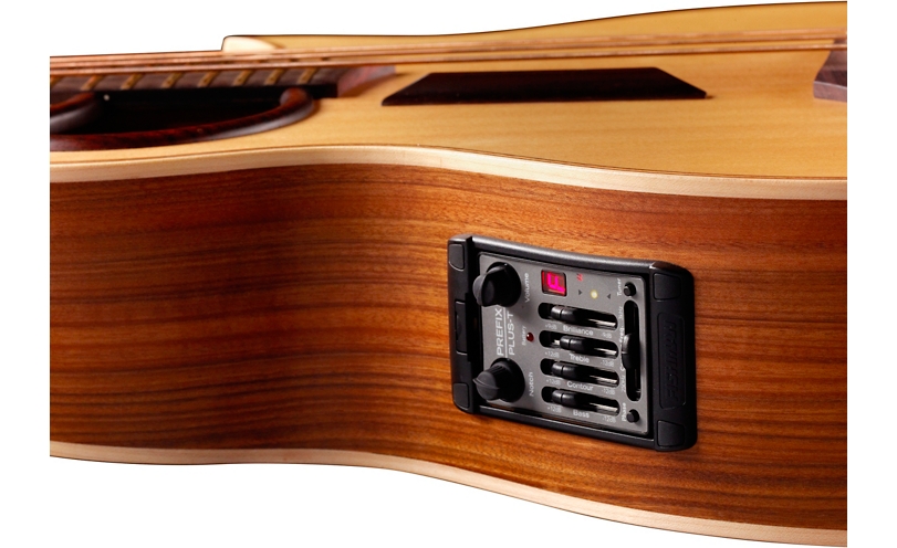 Warwick Alien 4-String Acoustic-Electric Bass - Natural Hi Polish