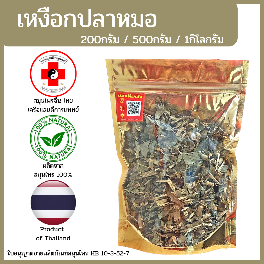[แสนดีเภสัช] สมุนไพร เหงือกปลาหมอ อย่างดี