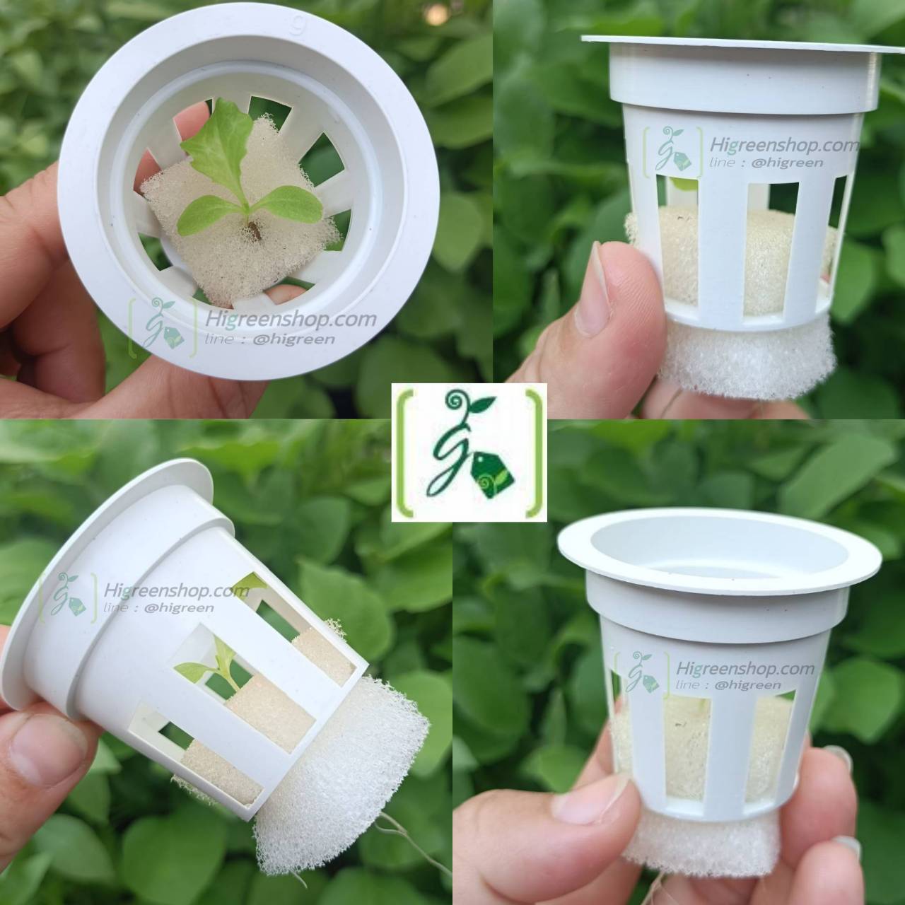 ถ้วยปลูกสีขาว 10000 ใบ (ใช้ซ้ำ) เกรด A (หนา 0.7 มิล)