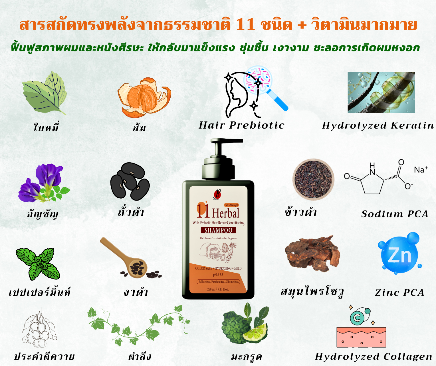 ยาสระผมล็อกสีผม ใช้สลับกับแชมพูม่วง สีผมสวยนาน เร่งผมยาว ลดผมเสีย ใช้ได้ทั้งผู้ชาย ผู้หญิง 