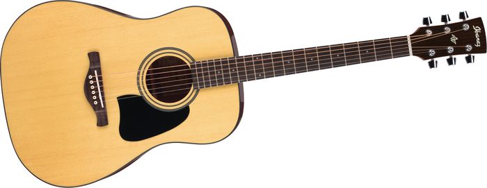 Ibanez Artwood Series AW50 Dreadnought Acoustic Guitar