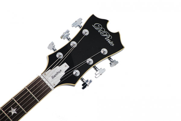 DiPinto Bacchus Semi-Hollow Guitar Black