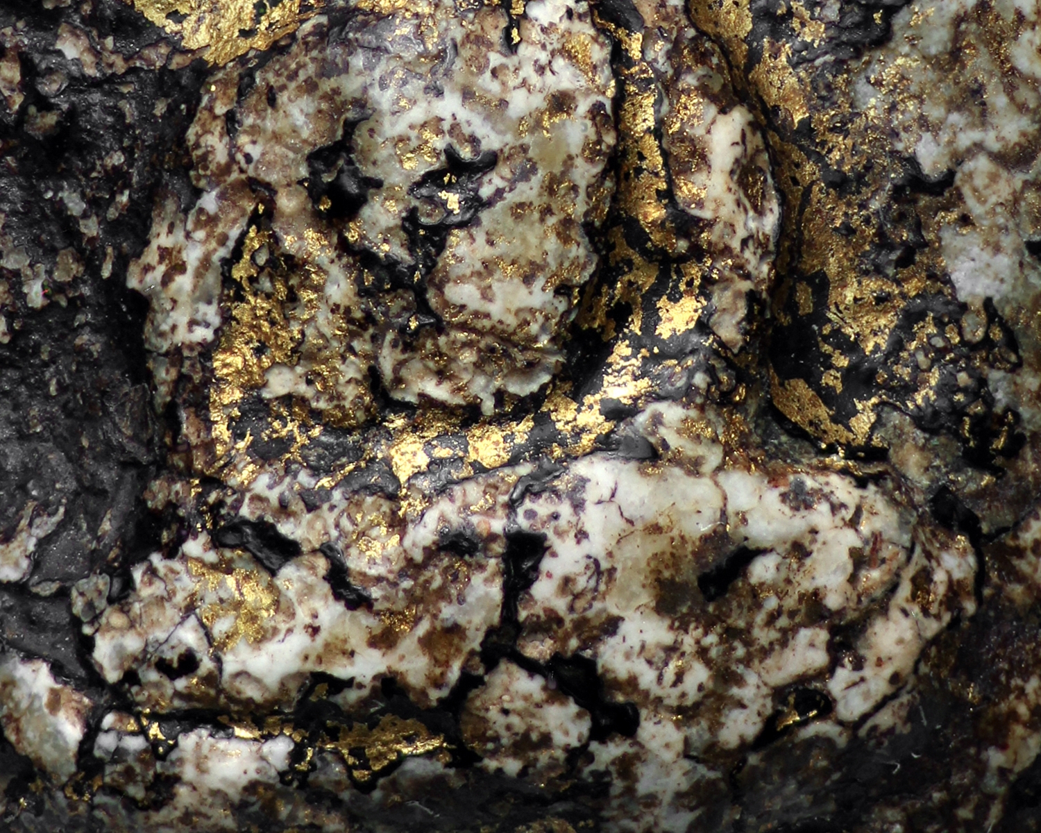 พระวัดพลับ พิมพ์ตุ๊กตาเล็ก โชว์พระ