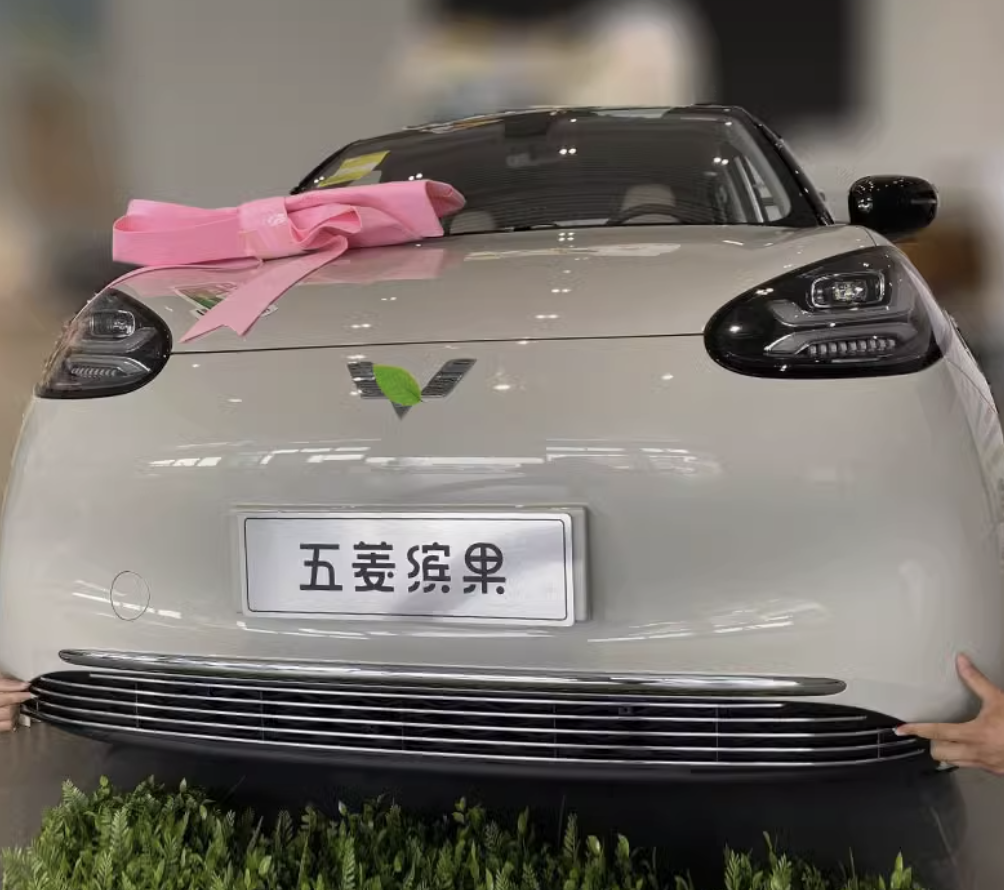 แถบตกแต่งกระจังหน้า Wuling Binguo EV