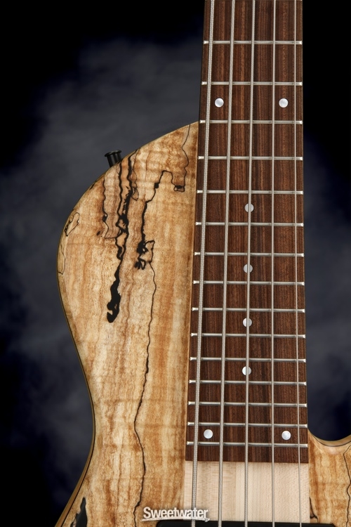 Fodera Emperor 5 Standard Special - Limited Run, Spalted Maple