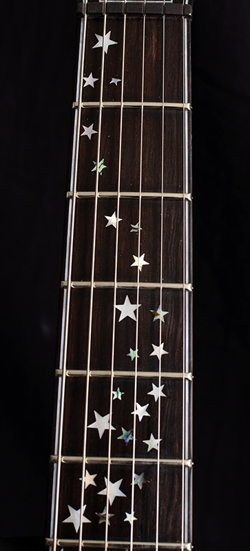 PRS Private Stock Custom 24 Nightfall Brians Exclusive