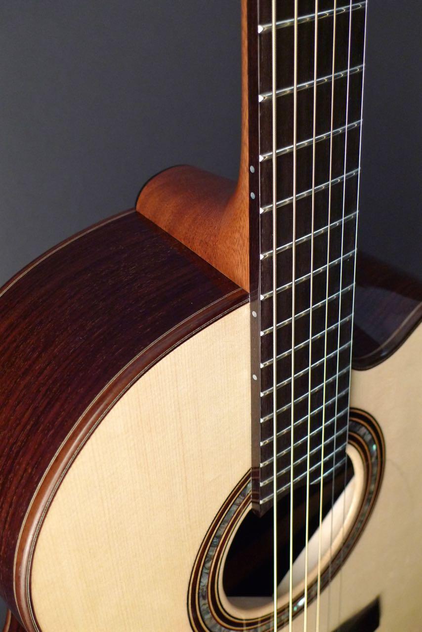 Manzer Dehlicaster - Acoustic Guitar