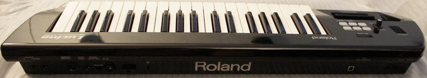 Roland Lucina AX-09 Shoulder Synthesizer (Black Sparkle)