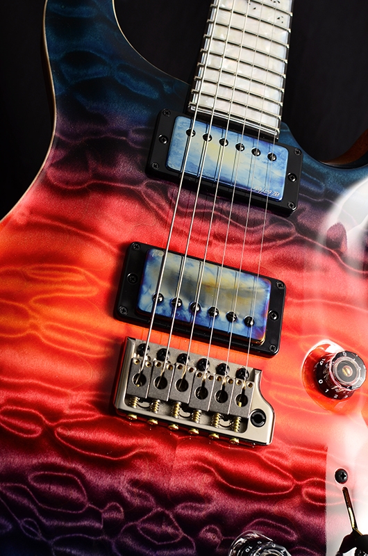 PRS Private Stock Custom 24 Nightfall Brians Exclusive