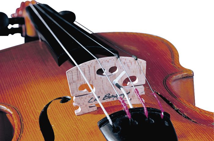 LR Baggs Violin Pickup with Carpenter Jack
