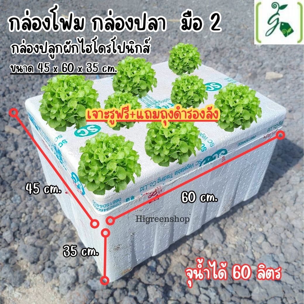 กล่องโฟมมือ 2 กล่องเปล่า กล่องปลา (สูง 35 cm.) กล่องปลูกผักไฮโดรโปนิกส์ เจาะรูฟรี + แถมถุงรองลัง เจาะรูสลัด 8 ต้น หรือผักไทย 20 ต้น เลือกได้ จำนวน 1 ลัง