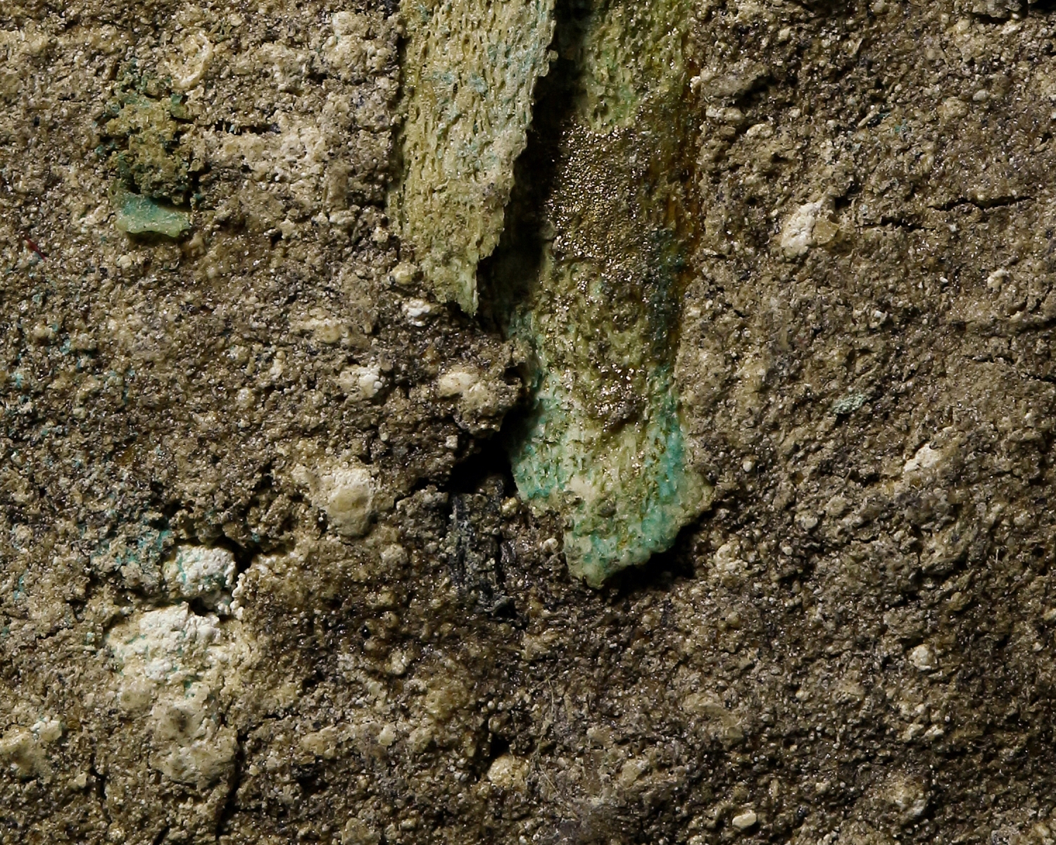 พระผงพรายกุมาร หลวงปู่ทิม วัดละหารไร่ จ.ระยอง (โชว์พระ)