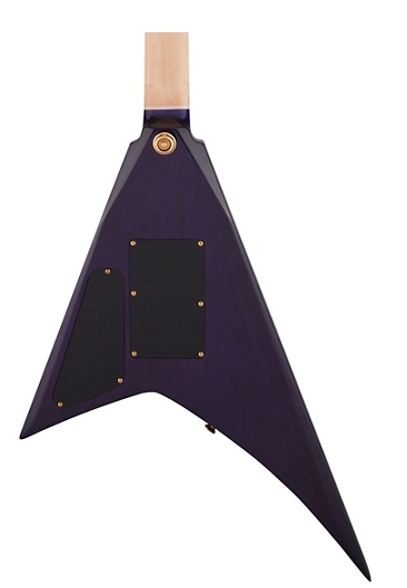 Jackson Pro Series Rhoads RR24 Electric Guitar