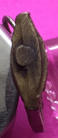 เหรียญ หลวงพ่อเปลื้อง วัดสุวรรณภูมิ อุดกริ่ง รุ่นสอง สุวรรณภูมิ วิทยาลัย จ.สุพรรณบุรี ปี๒๕๑๑ หลวงพ่อมุ่ย วัดดอนไร่ ปลุกเสก เนื้อทองฝาบาตร พระแท้สวย สนใจโทรสอบถามที่ 0619783836.. 0805587175 ส่งEMSในประเทศฟรีคะ