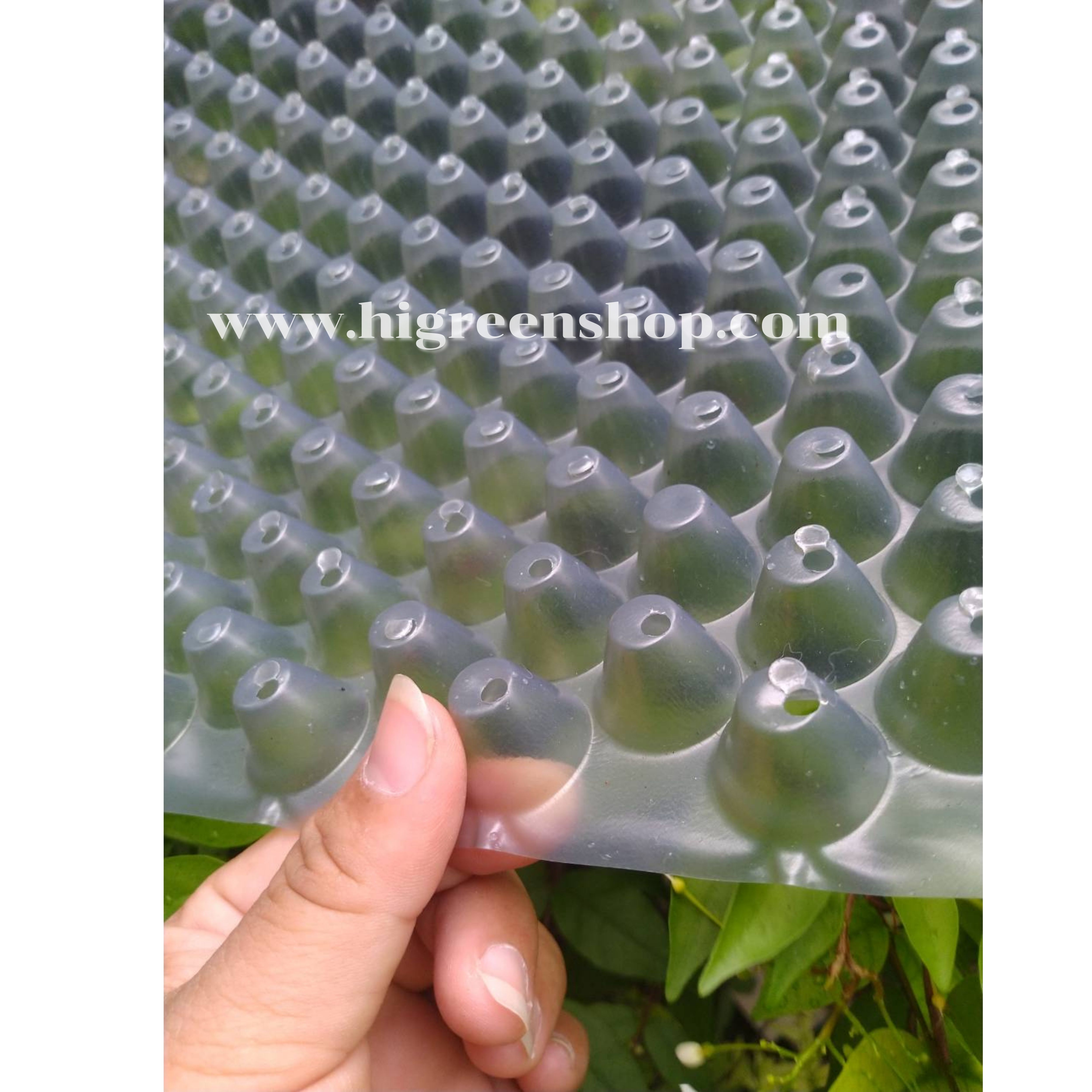 (ยกลัง/500ใบ)ถาดเพาะกล้านาโยน ถาดเพาะข้าว ถาดเพาะชำ ถาดเพาะเมล็ด 434หลุม/ใบ