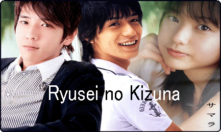 Ryusei no Kizuna /สายสัมพันธ์แห่งดาวตก /ซับไทย/ 5Dvd
