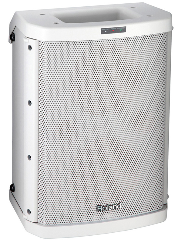 Roland BA-55 Battery Powered Portable Amplifier