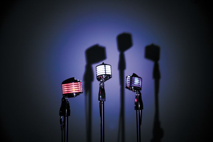 Heil Sound The Fin Dynamic Microphone