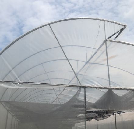 พลาสติกใส 100 ไมครอน หน้ากว้าง 5x95 เมตร (ม้วน)