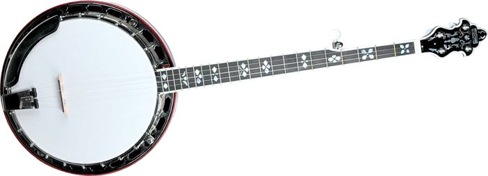 Recording King RK-R80 Professional Banjo