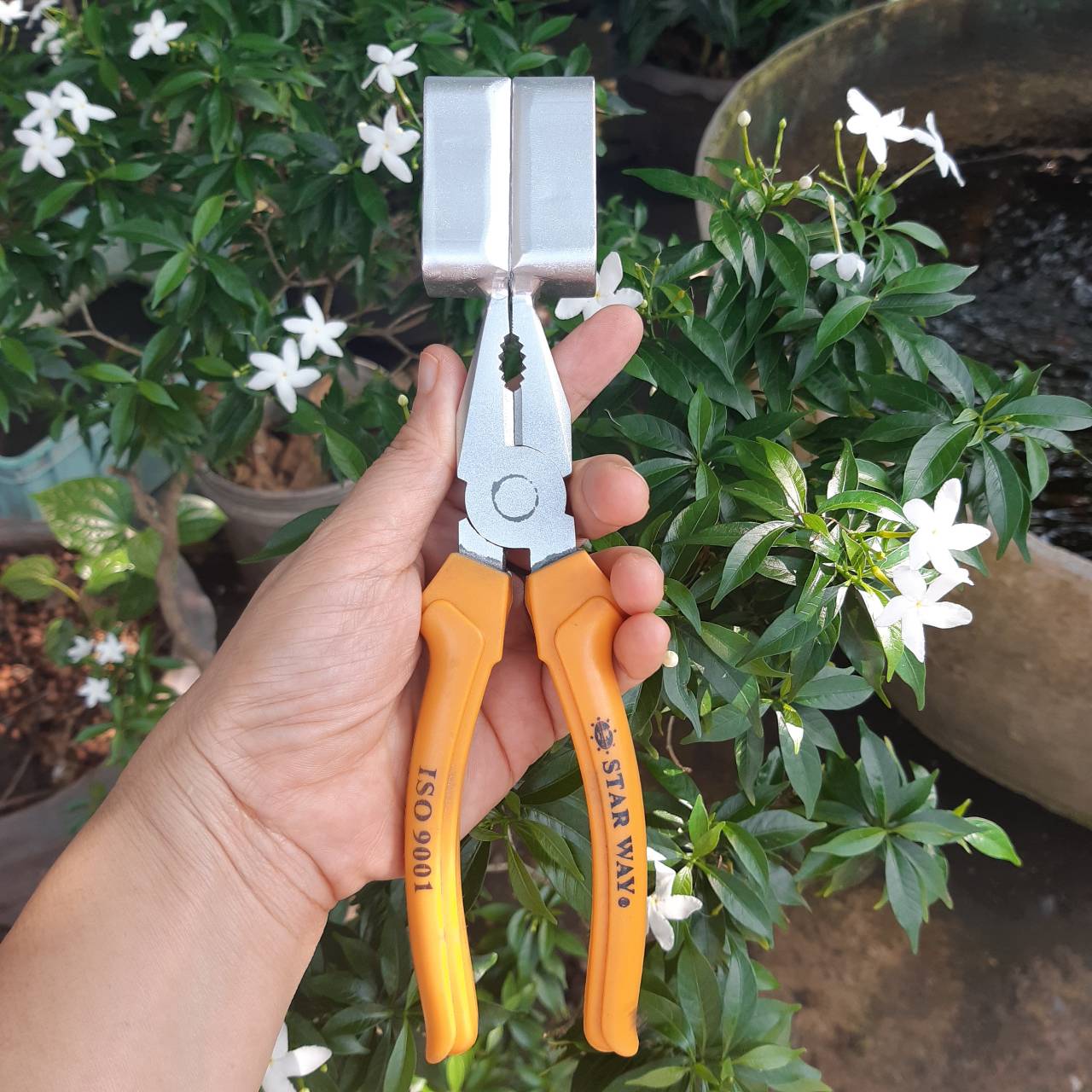 คีมตอนกิ่ง (คละสี)