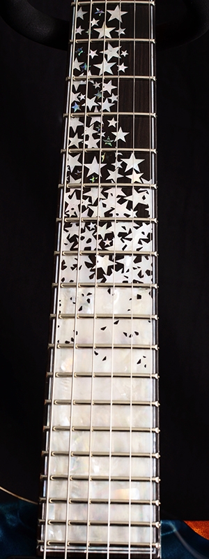 PRS Private Stock Custom 24 Nightfall Brians Exclusive