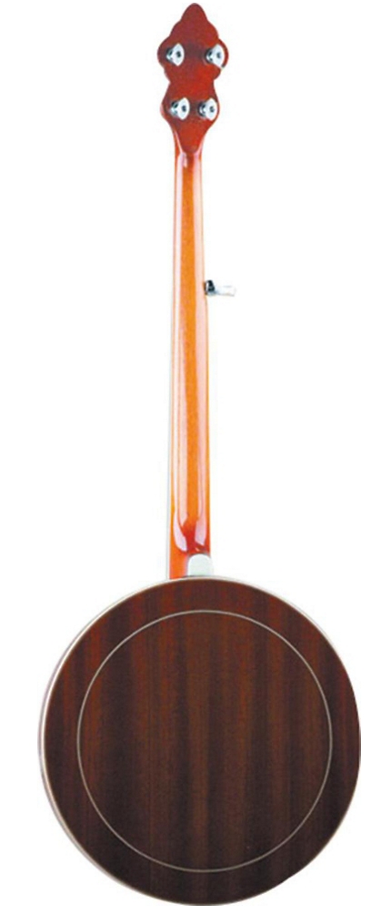 Recording King Bluegrass Series RK-R20 Songster Banjo