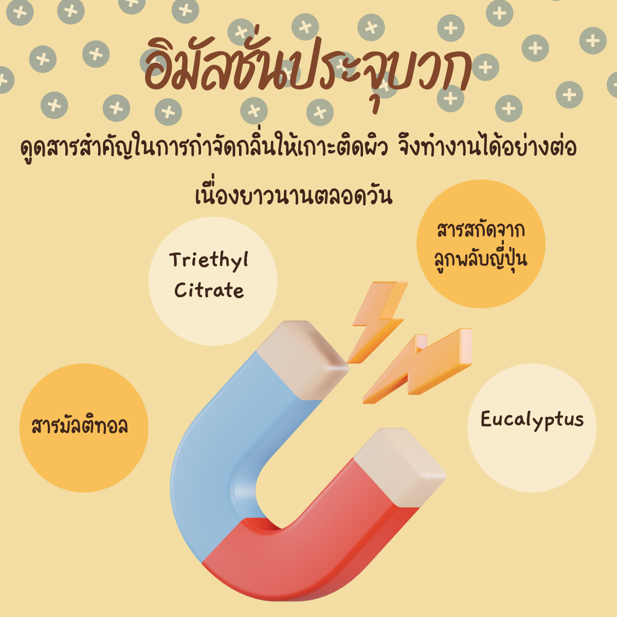 แชมพู ลดกลิ่นคนแก่ บนหนังศีรษะ หลังใบหู กลิ่นติดหมอน กำจัดทุกกลิ่น ทุกวัย จากลูกพลับญี่ปุ่น pH5 - บาลานซี่ 30+