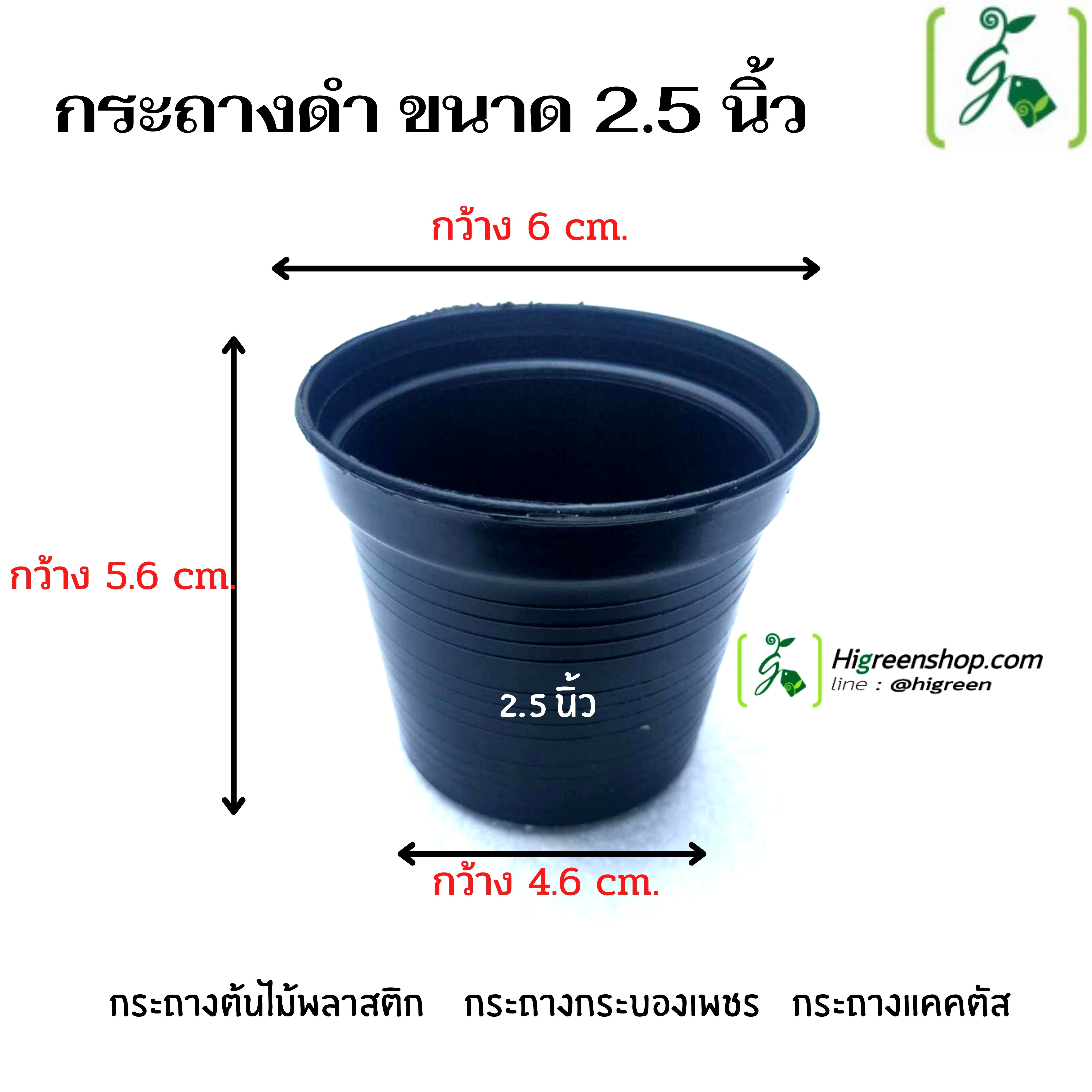 กระถางดำ ขนาด 2.5 นิ้ว / จำนวน 100 ใบ