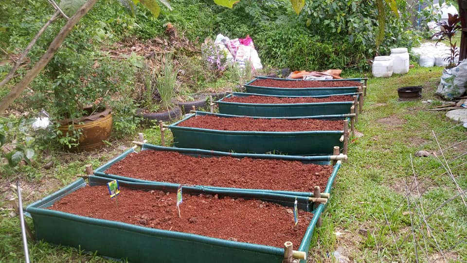 ถุงปลูกกะบะแสนดี ขนาด 60x200x30 ซ.ม. จำนวน 10ใบ (ไม่รวมโครงสร้างท่อPVC)