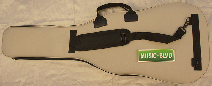 Line 6 JTV-69 Variax Electric Guitar