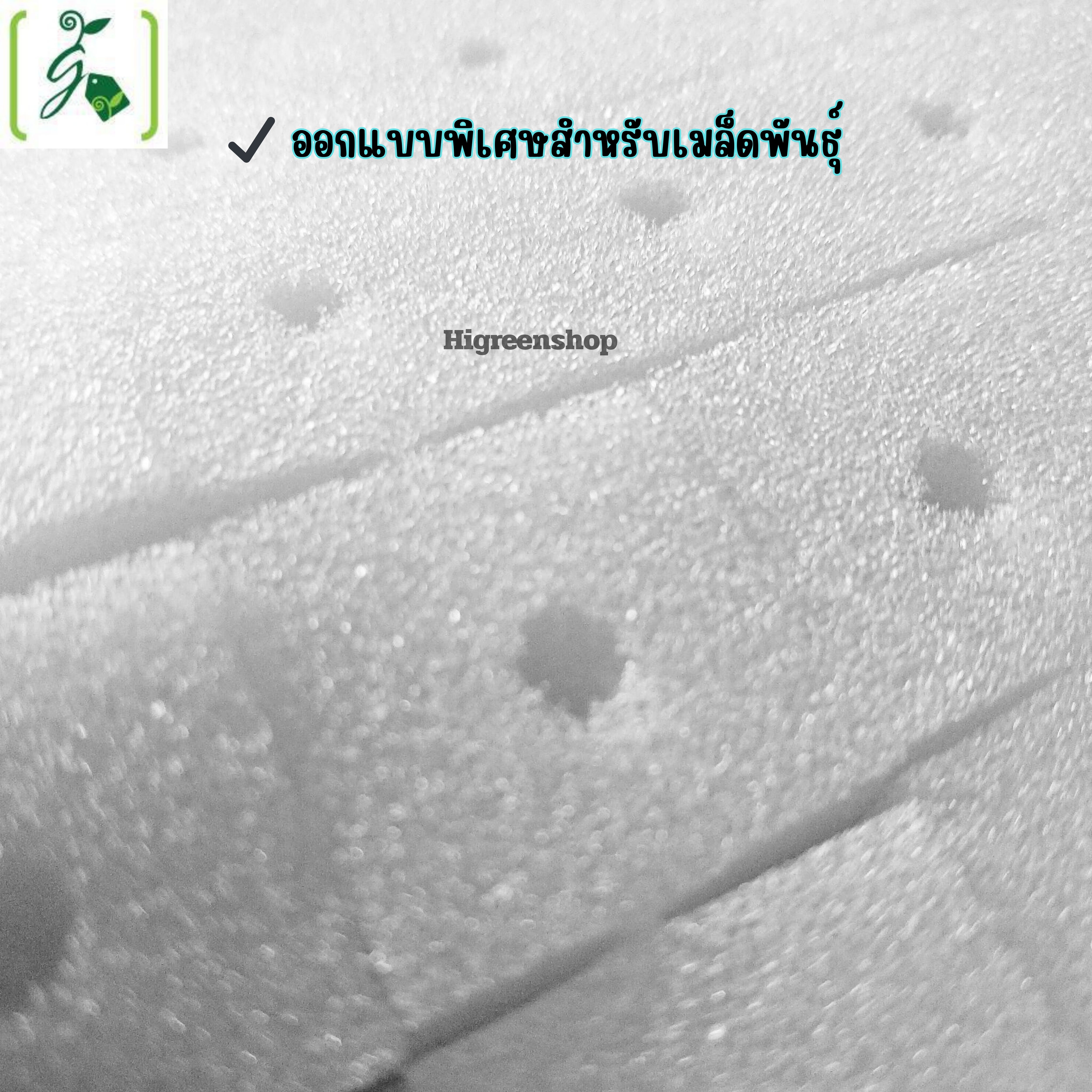 ฟองน้ำแบบหลุม เนื้อละเอียด ขนาด 1x1x1 นิ้ว (99 ช่องปลูก / แผ่น)จำนวน 1 แผ่น