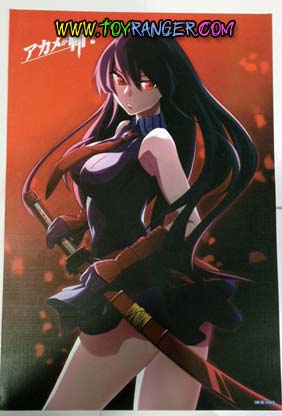 โปสเตอร์ Akame ga KILL! 1 (8ใบไม่ซ้ำ)