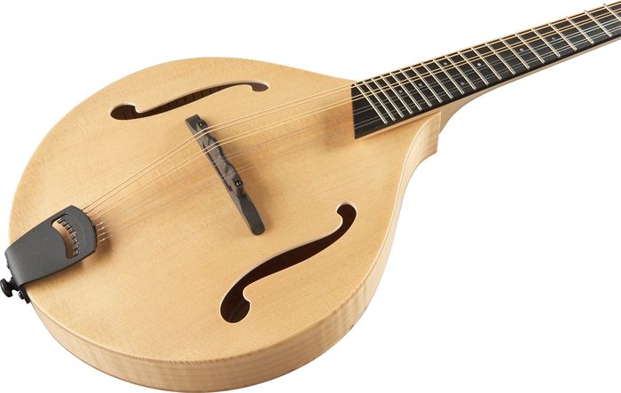 Breedlove American Series OF Mandolin