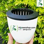 กระถางต้นไม้แบบเก็บน้ำได้ ดูดน้ำรดน้ำอัตโนมัติ ไซส์ XL ขนาด 220 mm. จำนวน 1 ใบ