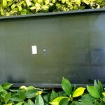 ถาดเพาะต้นอ่อนทานตะวันแบบ ไม่มีรู จำนวน 2 ถาด